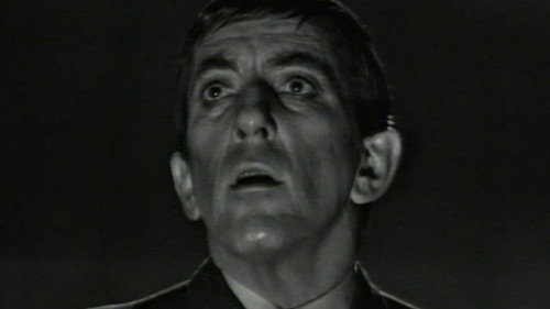 DS-233 still