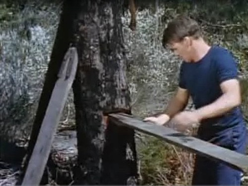 Skippy the Bush Kangaroo Season 2 Episode 22 - Axeman