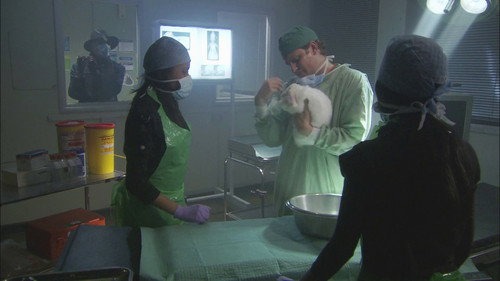 M.I. High Season 3 Episode 12 - Operation Flopsy