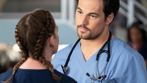 Grey's Anatomy Season 15 Episode 9 - Shelter from the Storm