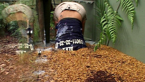 I'm a Celebrity...Get Me Out of Here! Season 3 Episode 9 - Tunnel of Terror