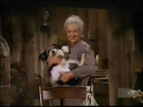 Bonanza Season 11 Episode 17 - The Trouble with Amy
