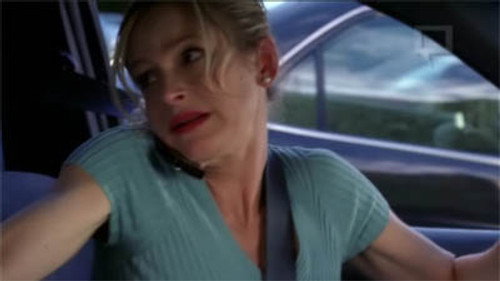 The Closer Season 2 Episode 11 - Borderline