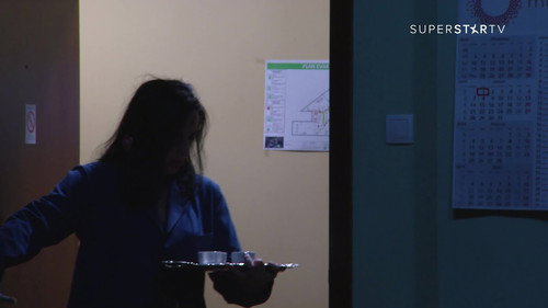 1358 Radicina slava still