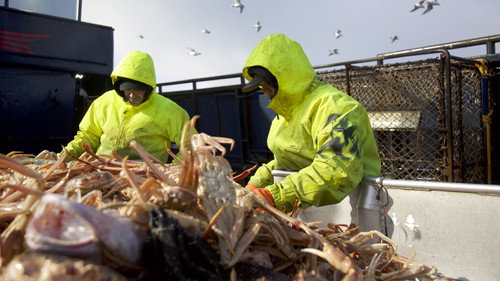 Deadliest Catch Season 14 Episode 11 - Blackout