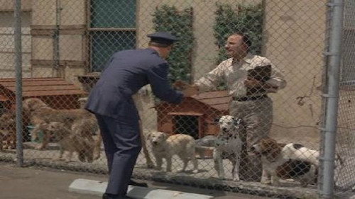 I Dream of Jeannie Season 2 Episode 6 - What's New, Poodle Dog?
