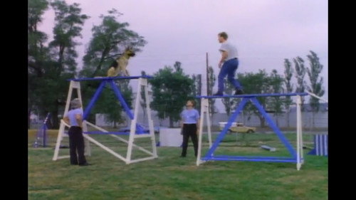 Katts and Dog Season 1 Episode 1 - Boy Meets Dog