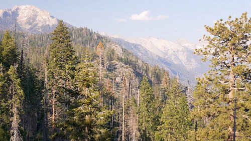 PARK'D with Abby Hornacek Season 8 Episode 1 - Park'd: Sequoia to Yosemite
