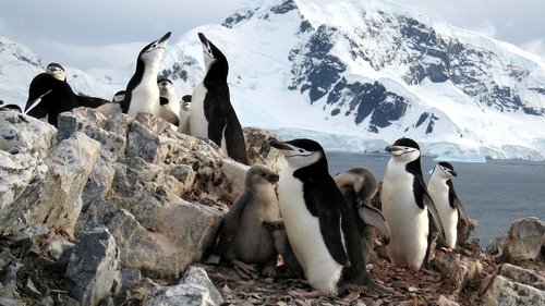 Planet Earth Season 1 Episode 6 - Ice Worlds