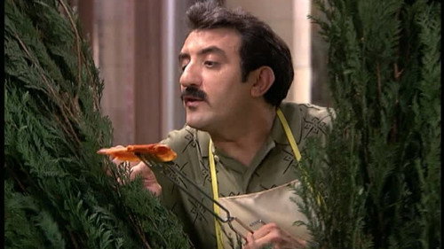 Mis adorables vecinos Season 3 Episode 5 - Episode 5
