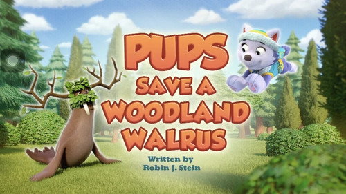 PAW Patrol Season 13 Episode 11 - Pups Save a Woodland Walrus