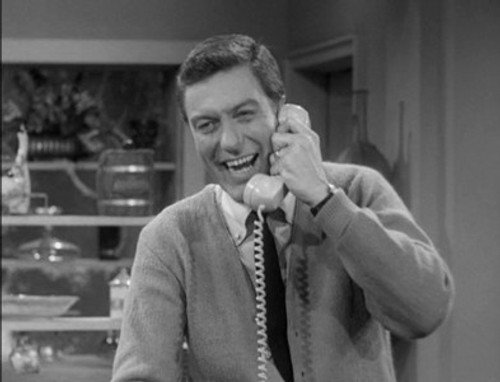 The Dick Van Dyke Show Season 4 Episode 24 - Bupkis