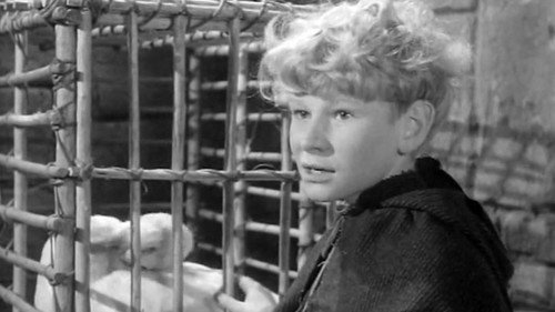 The Adventures of Robin Hood Season 3 Episode 13 - The Christmas Goose