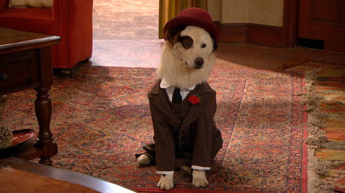 Dog with a Blog Season 2 Episode 9 - Avery B. Jealous