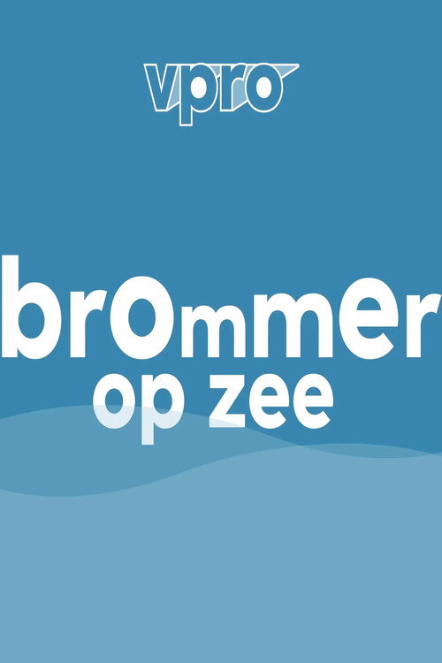 Brommer op zee poster