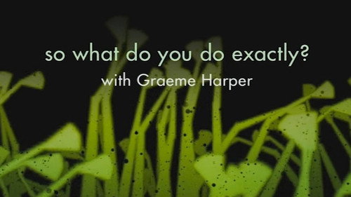 So What Do You Do Exactly? still