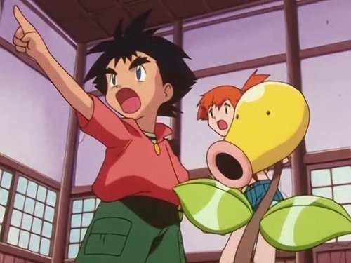 Pokémon Season 3 Episode 14 - A Bout With Sprout