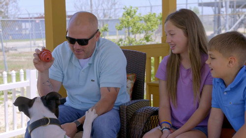Pit Bulls and Parolees Season 14 Episode 4 - Saved from the Fight