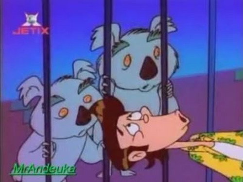 Ace Ventura: Pet Detective Season 1 Episode 6 - Natural Born Koalas