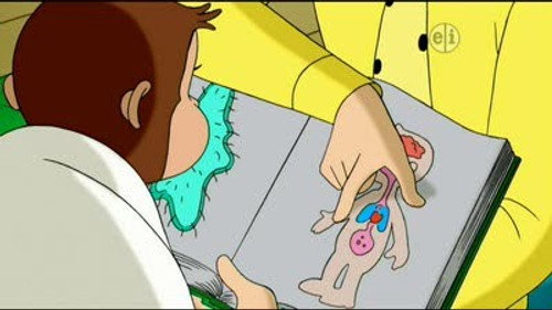 Curious George Season 4 Episode 9 - The Inside Story
