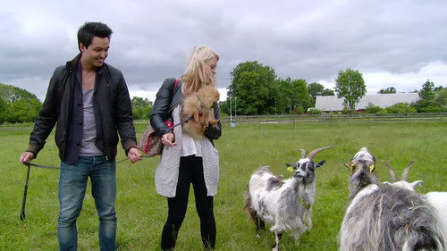 Mitt liv som valp Season 1 Episode 9 - Episode 9