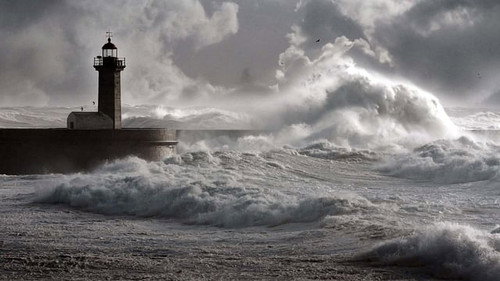 Will a new wind soon blow? still