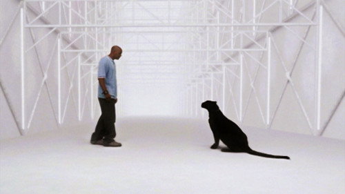 Angel Season 4 Episode 22 - Home