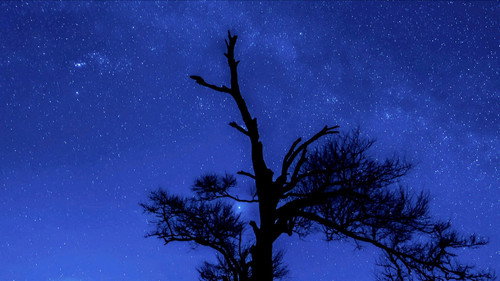 Hometown Stories Season 13 Episode 13 - Forging Bonds Under a Starry Sky