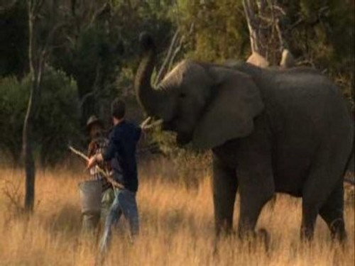 Wild at Heart Season 1 Episode 6 - Episode Six
