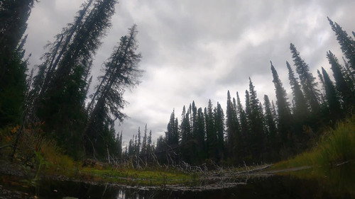 Alone Season 9 Episode 4 - The Beaver