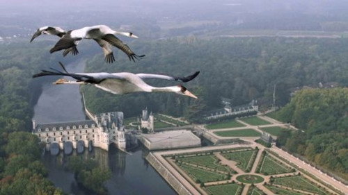Nature Season 32 Episode 3 - Earthflight: Europe