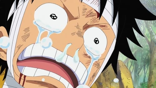 I Want to See Them! Luffy's Mournful Cry! still
