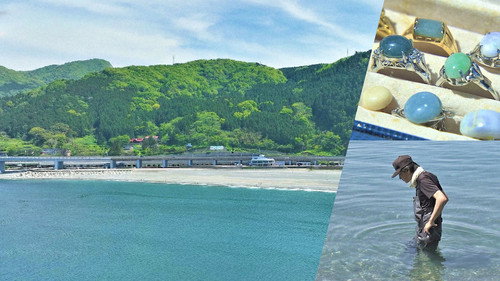 Document 72 Hours Season 13 Episode 14 - Nature's Treasure Hunt on a Niigata Beach