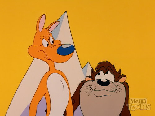 Taz-Mania Season 4 Episode 5 - Taz Like Dingo