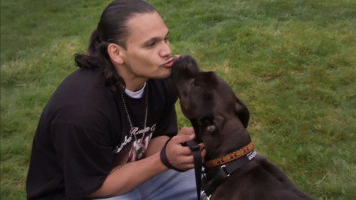 Pit Bulls and Parolees Season 2 Episode 4 - A Fighting Chance