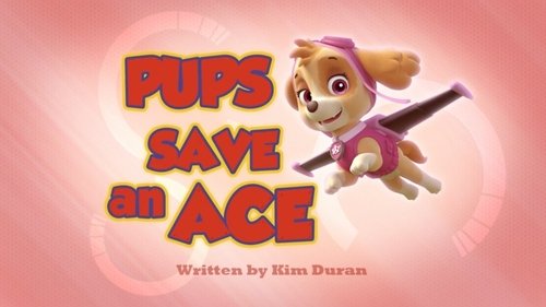 PAW Patrol Season 2 Episode 12 - Pups Save an Ace