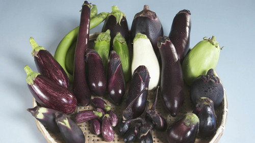 Trails to Oishii Tokyo Season 1 Episode 12 - EGGPLANT