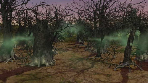 Mia and Me Season 1 Episode 14 - The Wizened Woods