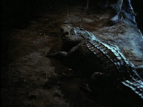 Swamp Thing Season 2 Episode 8 - Poisonous