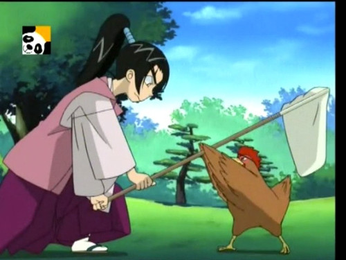 The Chicken Contest still