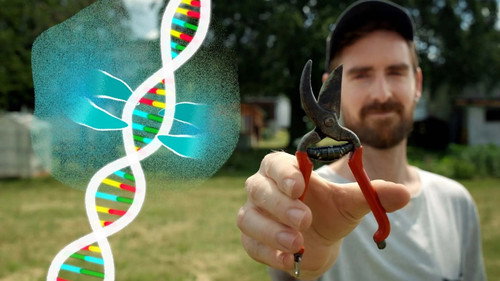 Could We Programme Evoluton? still