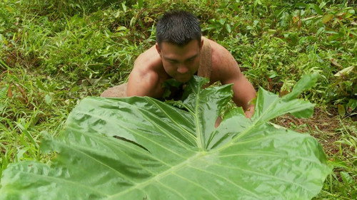Naked and Afraid Season 2 Episode 5 - The Pain Forest