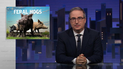 Last Week Tonight with John Oliver Season 13 Episode 16 - June 21, 2026: Feral Hogs