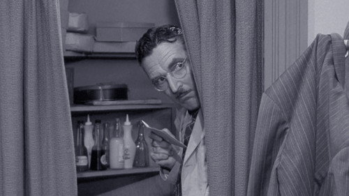 The Andy Griffith Show Season 3 Episode 9 - Floyd the Gay Deceiver