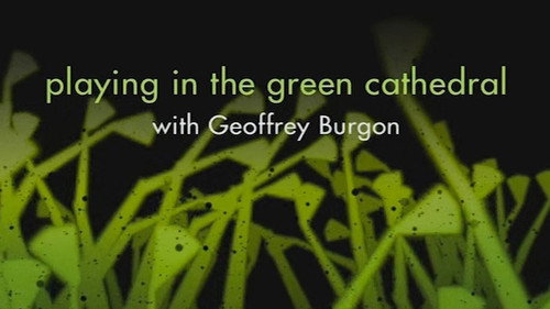 Playing in the Green Cathedral still