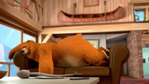 Shaken-up Bear still