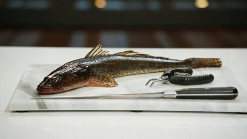 MasterChef Australia Season 18 Episode 36 - Skills Challenge: Fish Butchery
