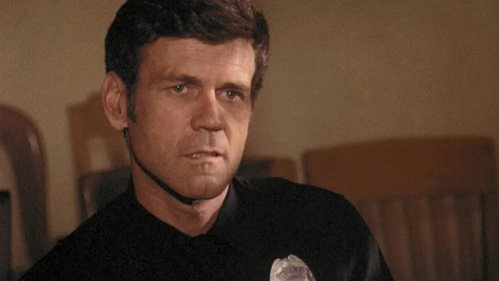 Police Story Season 1 Episode 10 - The Big Walk