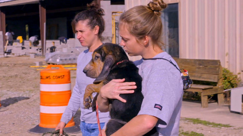Pit Bulls and Parolees Season 18 Episode 2 - Incredible Catch