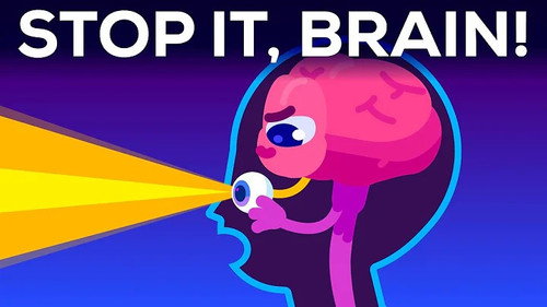 Kurzgesagt - In a Nutshell Season 13 Episode 3 - Why Your Brain Blinds You For 2 Hours Every Day